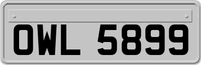 OWL5899