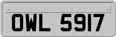 OWL5917
