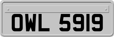 OWL5919