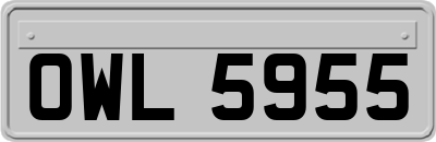 OWL5955