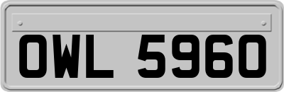 OWL5960