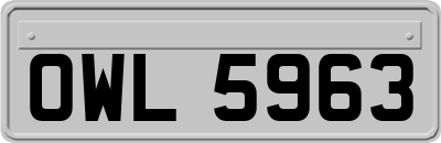 OWL5963