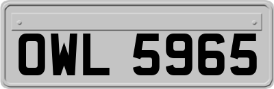 OWL5965