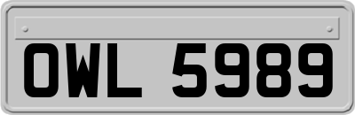 OWL5989