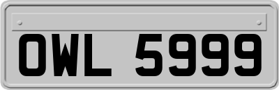 OWL5999