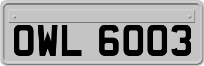 OWL6003