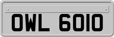 OWL6010