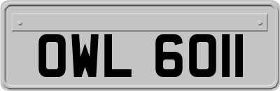 OWL6011