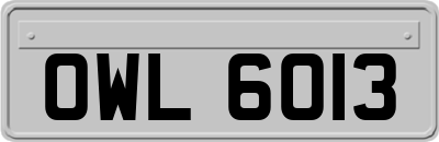 OWL6013