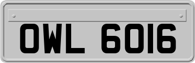 OWL6016