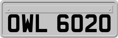 OWL6020
