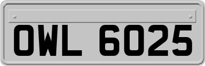 OWL6025