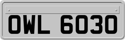 OWL6030
