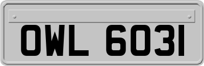 OWL6031