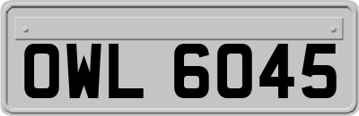 OWL6045