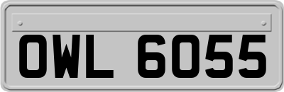 OWL6055