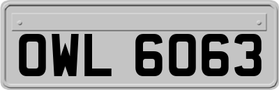 OWL6063