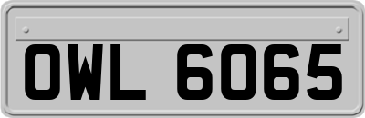 OWL6065