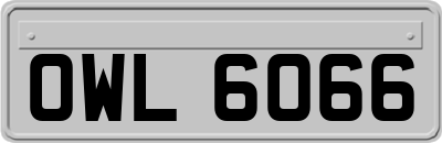 OWL6066