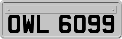 OWL6099
