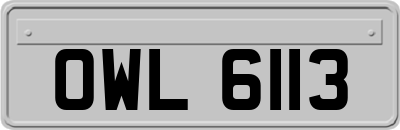 OWL6113