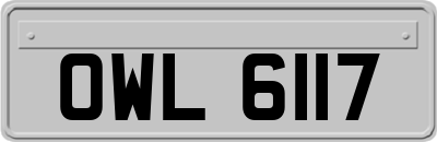 OWL6117