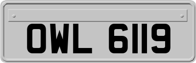 OWL6119