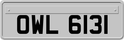 OWL6131