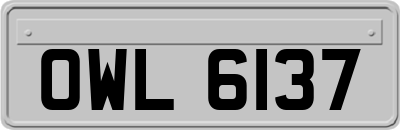 OWL6137
