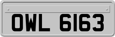 OWL6163