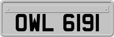 OWL6191