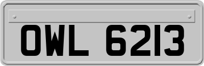 OWL6213