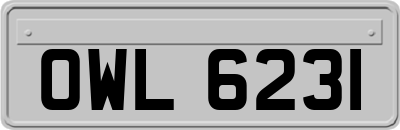 OWL6231