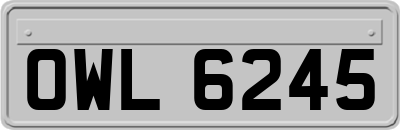 OWL6245