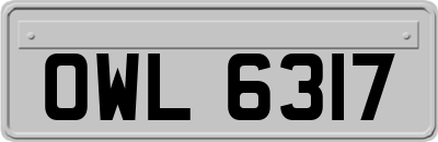 OWL6317