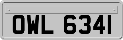 OWL6341