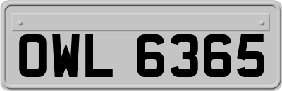 OWL6365