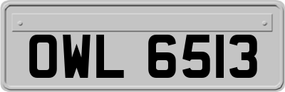 OWL6513
