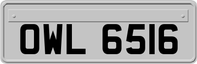OWL6516