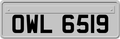 OWL6519