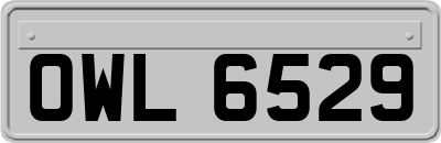 OWL6529