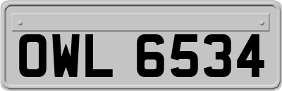 OWL6534