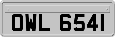 OWL6541