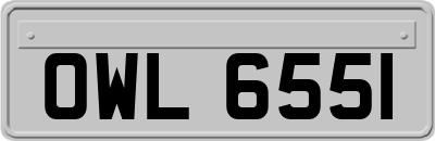 OWL6551
