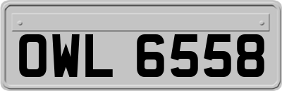 OWL6558