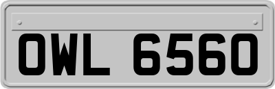 OWL6560
