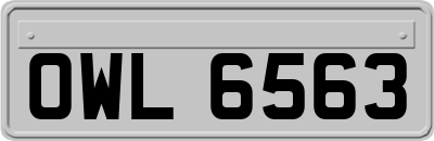 OWL6563