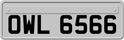 OWL6566