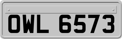 OWL6573