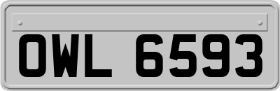 OWL6593
